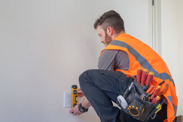 Best Electric Panel Repair  in Elmwood Park, IL